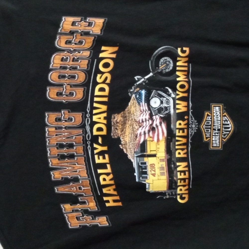 Harley-Davidson Black Short Sleeve Tee Men’s Medium - Picture 3 of 6